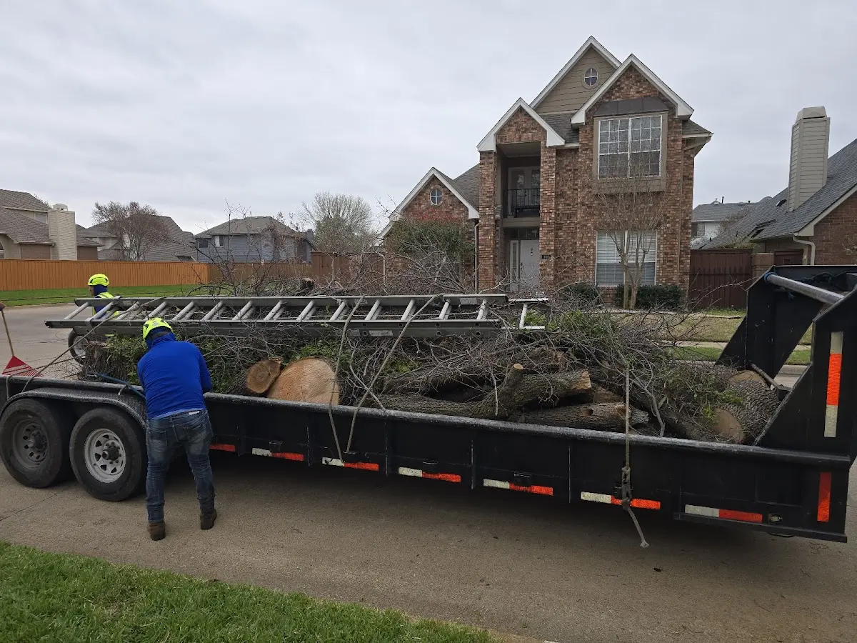 Expert Lot Clearing with proper safety equipment in Rocky Comfort
